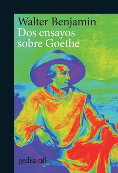 Dos ensayos sobre Goethe (eBook, PDF) - Benjamin, Walter