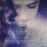 Wütender Sturm / Die Farben des Blutes Bd.4 (MP3-Download)