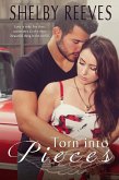 Torn into Pieces (eBook, ePUB)