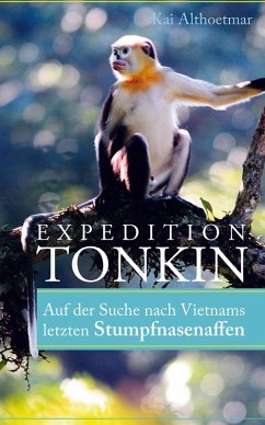 Expedition Tonkin (eBook, ePUB) - Althoetmar, Kai