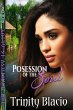 Possession of the Soul - Book One of... - Bild 1