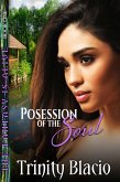 Possession of the Soul - Book One of the Fantasy is Alive Series (eBook, ePUB)