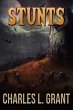 Stunts (eBook, ePUB) - Bild 1