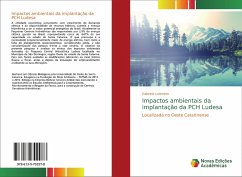 Impactos ambientais da implantação da PCH Ludesa