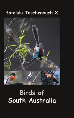 Birds of South Australia - fotolulu