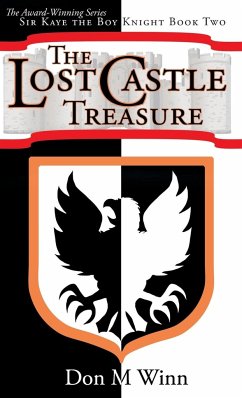 The Lost Castle Treasure - Winn, Don M.