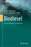 Biodiesel (eBook, PDF)