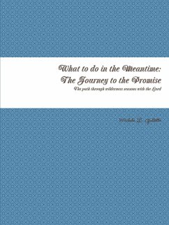 What to do in the Meantime - Gullette, Michele