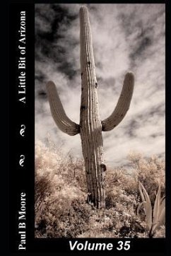 A Little Bit of Arizona: Volume 35 - Moore, Paul