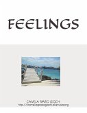 Feelings