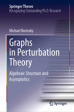 Graphs in Perturbation Theory (eBook, PDF) - Borinsky, Michael