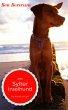 Das Wunder von Sylt (eBook, ePUB) - Bild 1