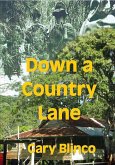 Down a Country Lane (eBook, ePUB)