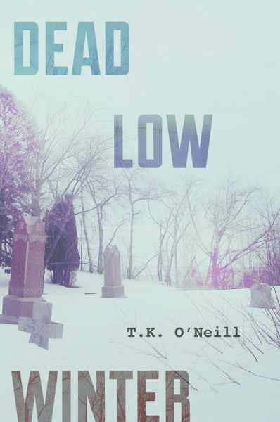 Dead Low Winter (eBook, ePUB)