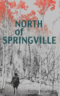 Cover North of Springville (eBook, ePUB)