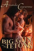 Big Gun On the Tetons (eBook, ePUB)
