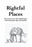 Rightful Places (eBook, ePUB)