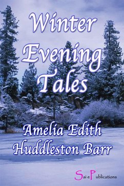 Cover Winter Evening Tales (eBook, ePUB)