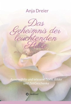 Das Geheimnis der leuchtenden Stille (eBook, ePUB) - Dreier, Anja