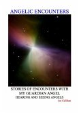 Angelic Encounters (eBook, ePUB)