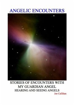 Angelic Encounters (eBook, ePUB) - Callihan, Joe Hammond