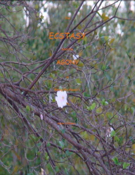 The Ecstasy and Agony (eBook, ePUB)