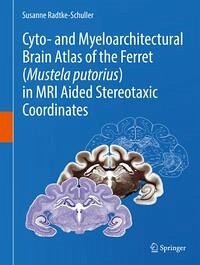 Cover Cyto- and Myeloarchitectural Brain Atlas of the Ferret (Mustela putorius) in MRI Aided Stereotaxic Coordinates (eBook, PDF)