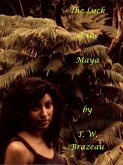 The Luck of the Maya (eBook, ePUB)