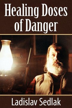 Healing Doses of Danger (eBook, ePUB) - Sedlak, Ladislav Ph. D