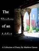 The Shadow of an Addict (eBook, ePUB)