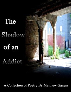 The Shadow of an Addict (eBook, ePUB) - Ganem, Matthew Ph. D.