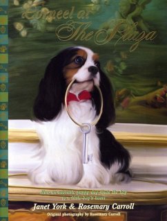 Cover Corneel at The Plaza (eBook, ePUB)