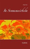 In Sonnenwirbeln (eBook, ePUB)