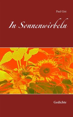 In Sonnenwirbeln (eBook, ePUB) - Gisi, Paul
