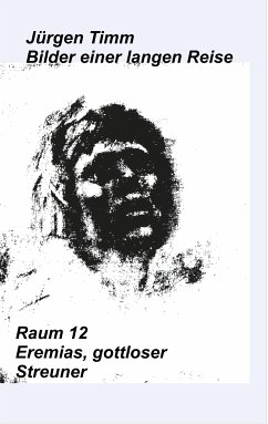 Raum 12 Eremias, gottloser Streuner (eBook, ePUB)