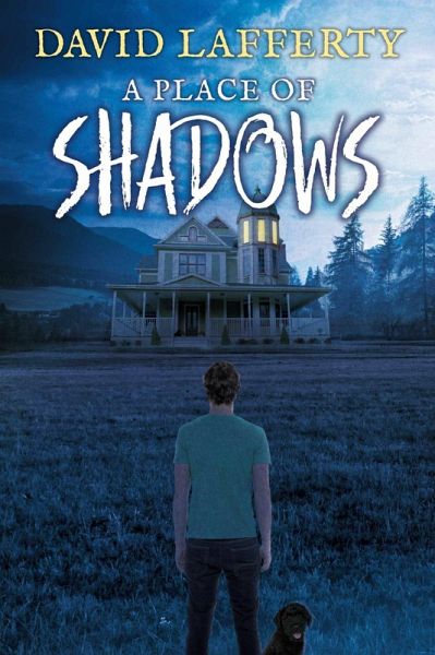 A Place of Shadows (eBook, ePUB)