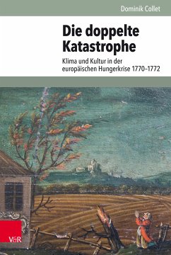 Die doppelte Katastrophe (eBook, PDF) - Collet, Dominik