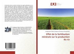 Effet de la fertilisation minérale sur la production du riz - Koudjrohede, Nougbognon Marius Prudencio Christensen