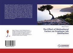 The Effect of Motivational Factors on Employee Job Satisfaction - Teshome, Mikiyas