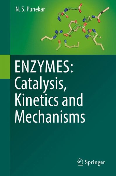 ENZYMES: Catalysis, Kinetics and Mechanisms (eBook, PDF)
