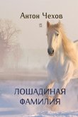 Horsey Name (eBook, ePUB) Horsey Name (eBook, ePUB)