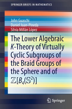 The Lower Algebraic K-Theory of Virtually Cyclic Subgroups of the Braid Groups of the Sphere and of ZB4(S2) (eBook, PDF) - Guaschi, John; Juan-Pineda, Daniel; Millán López, Silvia