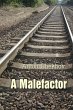 Malefactor (eBook, ePUB) - Bild 1