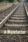 Malefactor (eBook, ePUB)