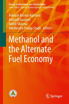 Methanol and the Alternate Fuel Economy (eBook, PDF)