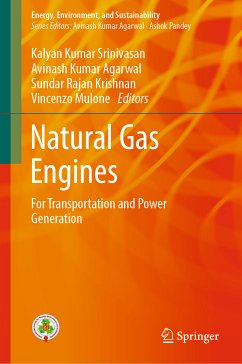 Natural Gas Engines (eBook, PDF)