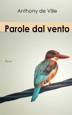 Parole dal vento (eBook, ePUB) - de Ville, Anthony