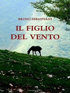 Il figlio del vento (eBook, ePUB) - Sebastiani, Bruno