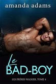 Le Bad-Boy (eBook, ePUB)