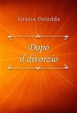 Dopo il divorzio (eBook, ePUB)